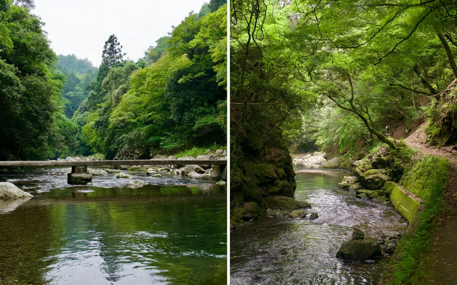 A low concrete footbridge across a clear, shallow river in a wooded gorge; A narrow trail along a mossy river bank under maple branches
